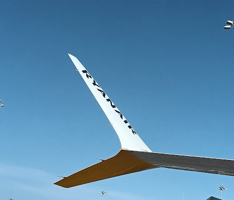 Ryanair 737 MAX Winglet